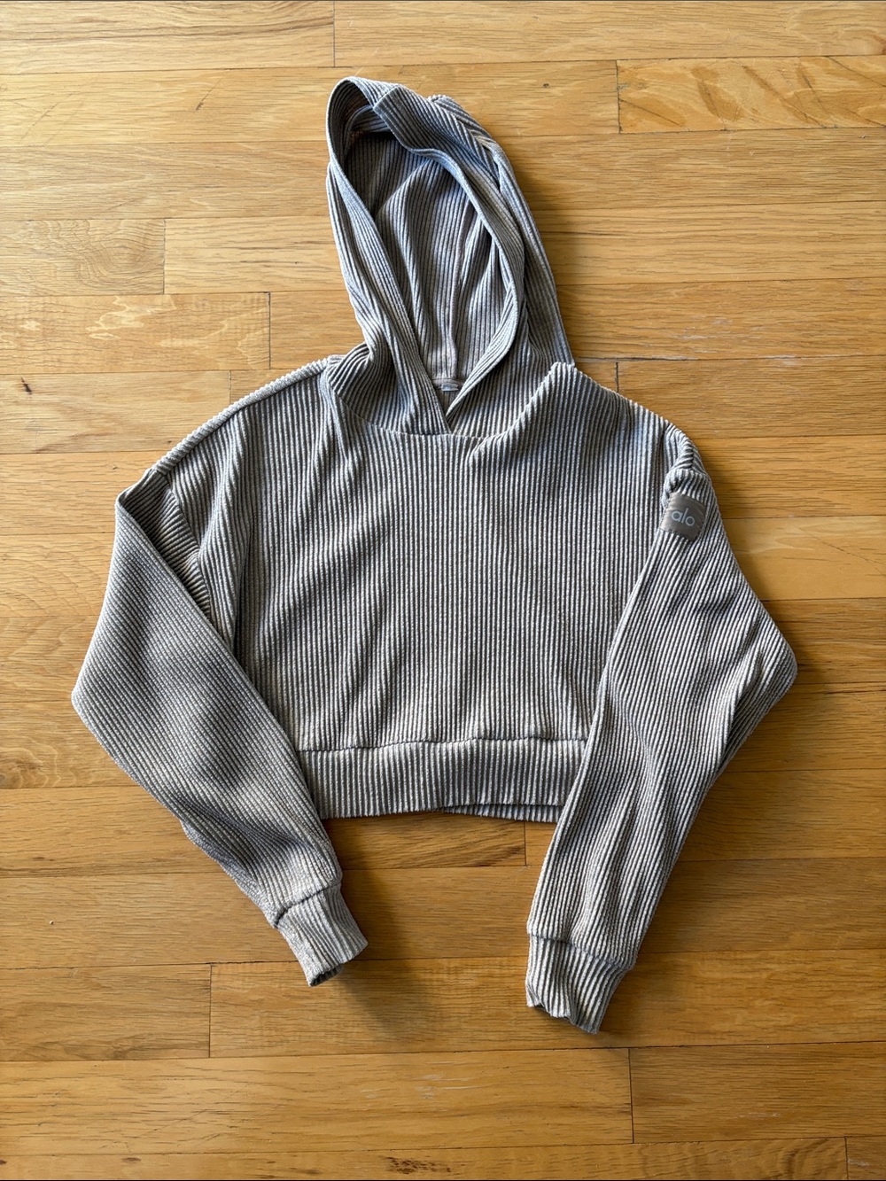 ALO Yoga Cropped Ribbed Hoodie in Light Gray